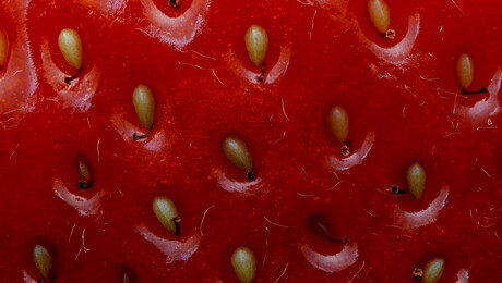 Een aardbei van dichtbij